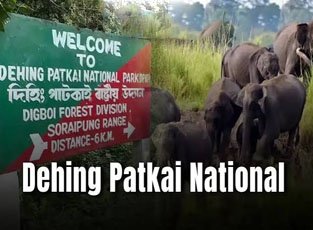 Dehing Patkai National Park