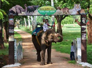 Jharkhand Wildlife Tour