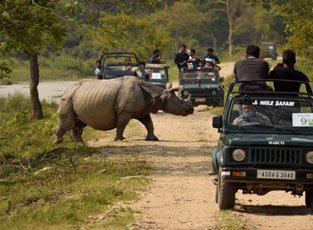 Orang National Park